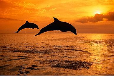 V社悄悄封禁使用AI生成美术素材的游戏