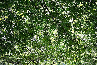 终极拉扯：友尽游戏迎来重大免费更新